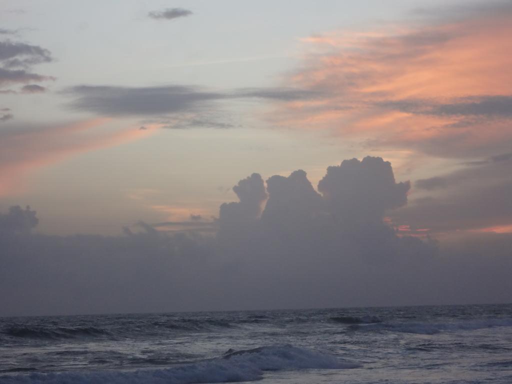 Ceylon Surf Guest And Restaurant Bed and Breakfast Weligama Eksteriør billede